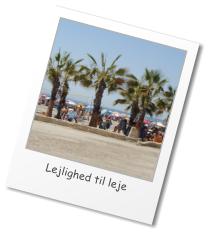 Lejlighed til leje